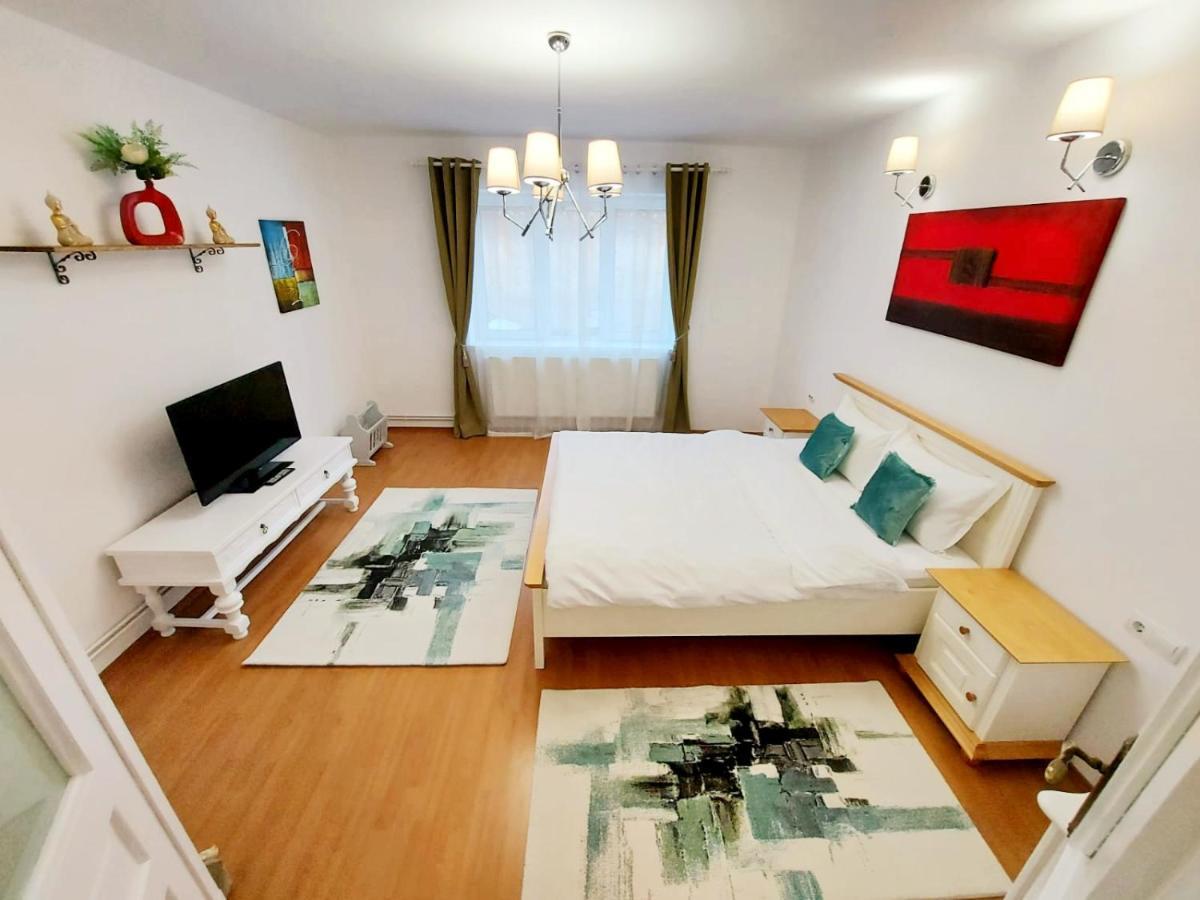 브라쇼브 Casa Dusa - Apartament Crisstina 아파트 외부 사진